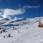 Geistlinger Lejlighed Flachau
