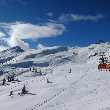 Geistlinger Lejlighed Flachau