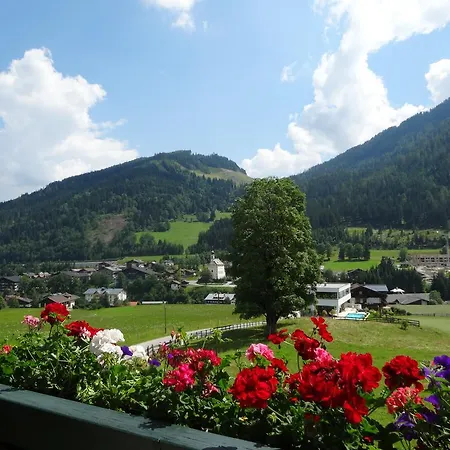 Geistlinger Lejlighed Flachau