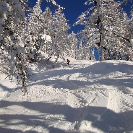 Апартаменты Geistlinger