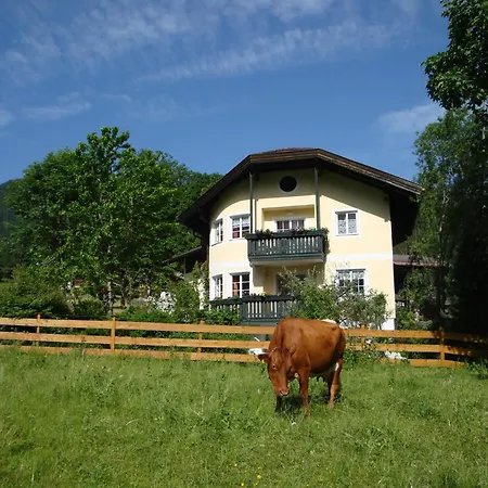 Appartement Geistlinger Flachau