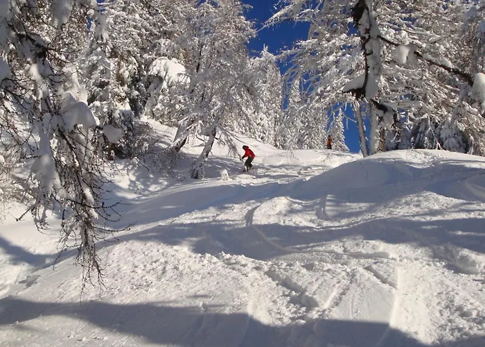 公寓 格斯特因各公寓